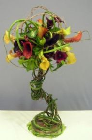 class 12 a fresh twist
